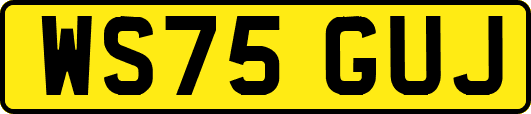 WS75GUJ