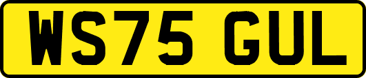 WS75GUL