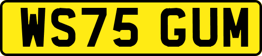 WS75GUM