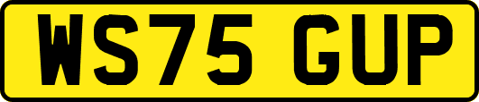WS75GUP