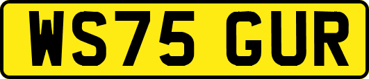 WS75GUR