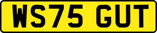 WS75GUT