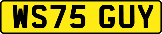 WS75GUY