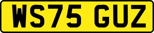 WS75GUZ