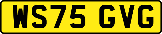 WS75GVG