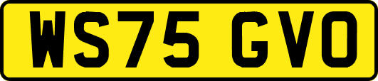 WS75GVO