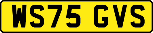 WS75GVS