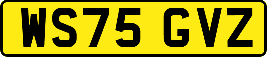 WS75GVZ