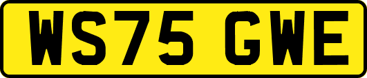 WS75GWE