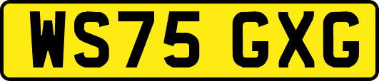 WS75GXG