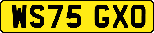 WS75GXO