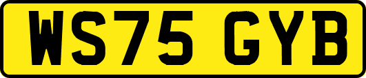 WS75GYB
