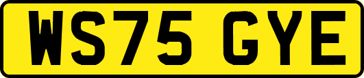 WS75GYE