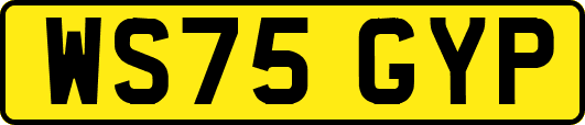 WS75GYP