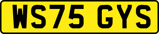 WS75GYS
