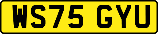 WS75GYU