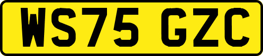 WS75GZC