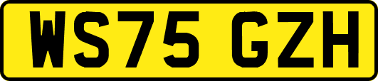 WS75GZH