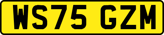 WS75GZM