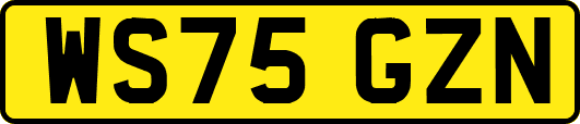 WS75GZN