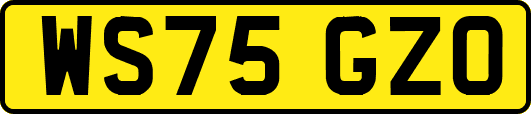WS75GZO