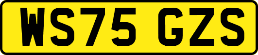 WS75GZS