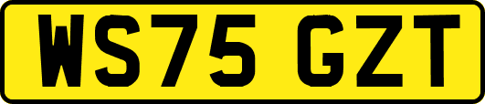 WS75GZT