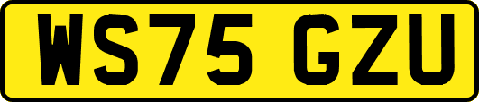WS75GZU