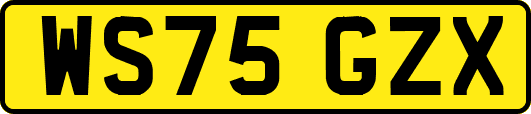 WS75GZX