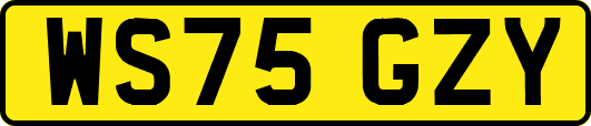 WS75GZY