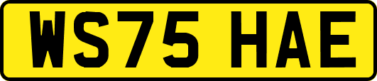 WS75HAE