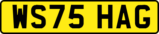 WS75HAG