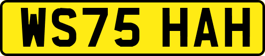 WS75HAH