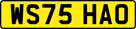 WS75HAO