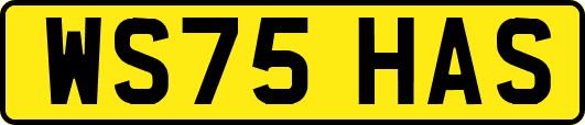 WS75HAS