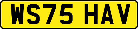 WS75HAV