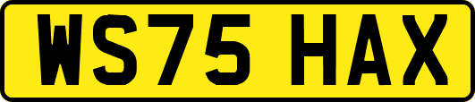 WS75HAX