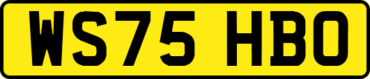 WS75HBO