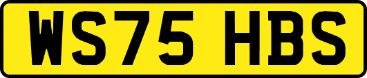 WS75HBS