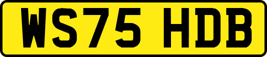 WS75HDB