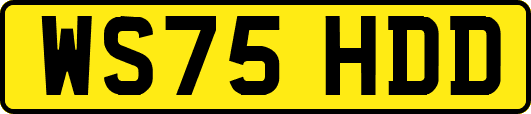 WS75HDD