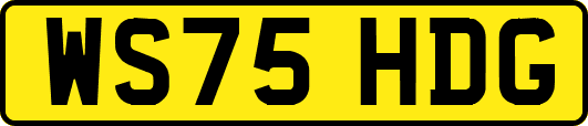 WS75HDG