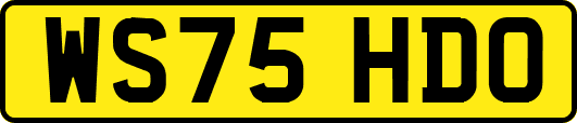 WS75HDO