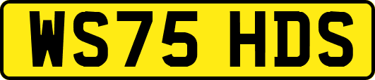 WS75HDS