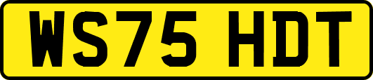 WS75HDT