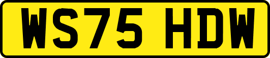 WS75HDW