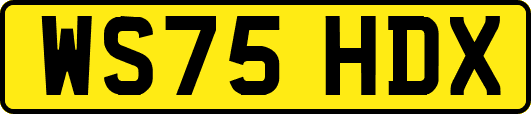 WS75HDX