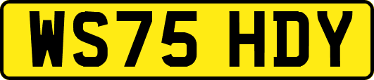WS75HDY