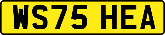 WS75HEA