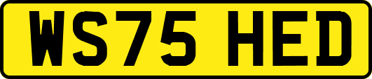 WS75HED
